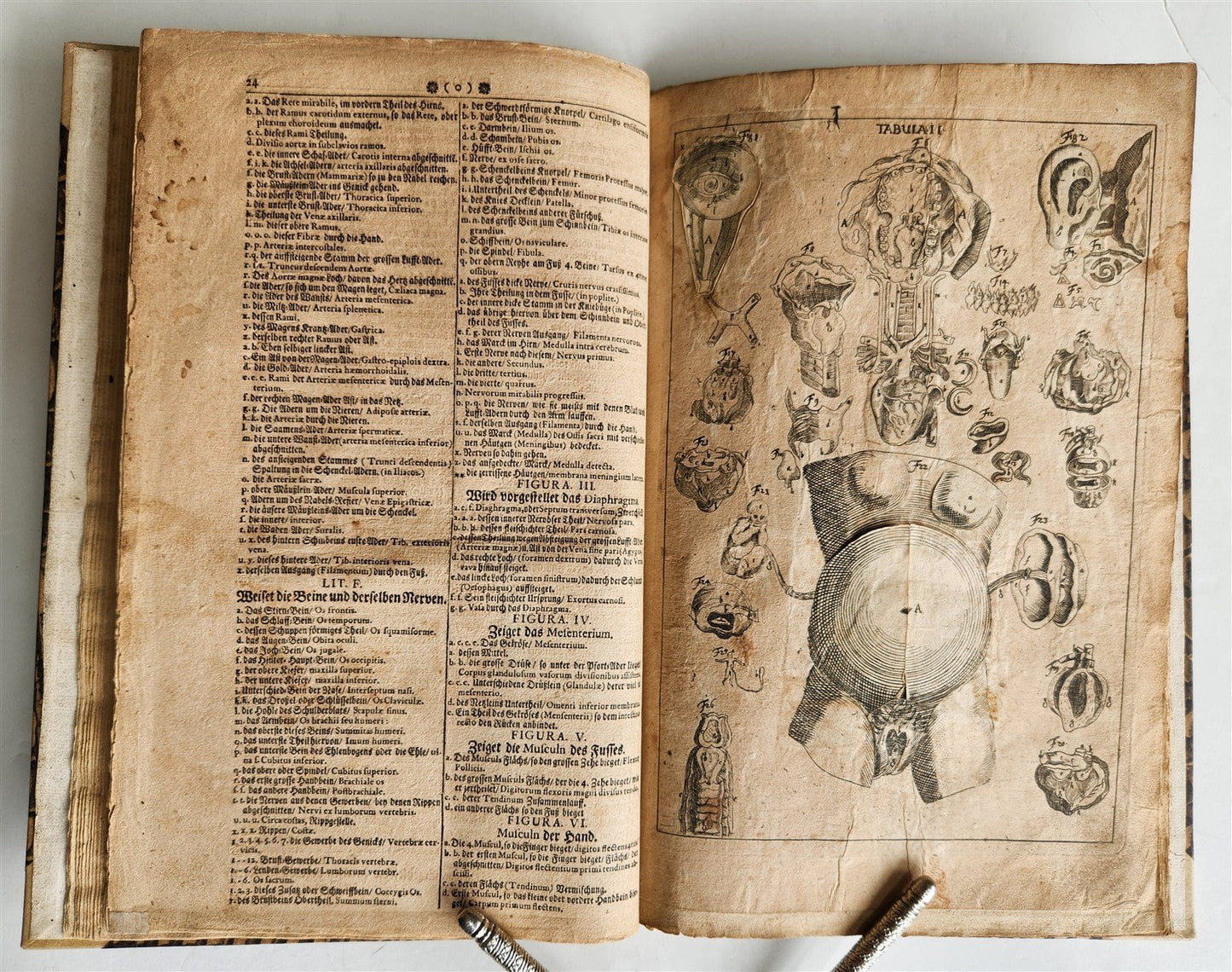 1720 ANATOMY ILLUSTRATED w/ MOVEABLE PARTS antique FOLIO