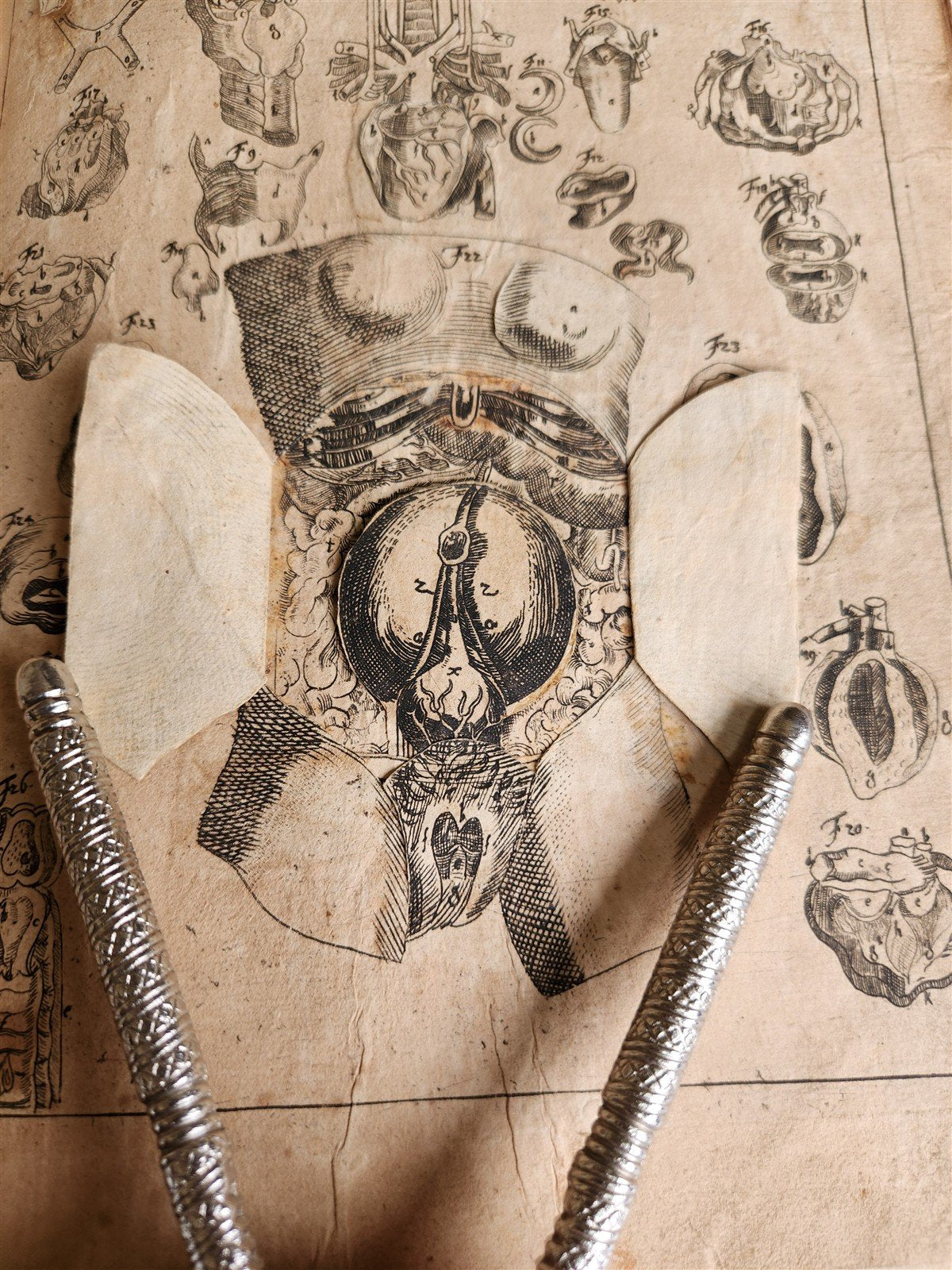 1720 ANATOMY ILLUSTRATED w/ MOVEABLE PARTS antique FOLIO