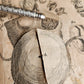 1720 ANATOMY ILLUSTRATED w/ MOVEABLE PARTS antique FOLIO