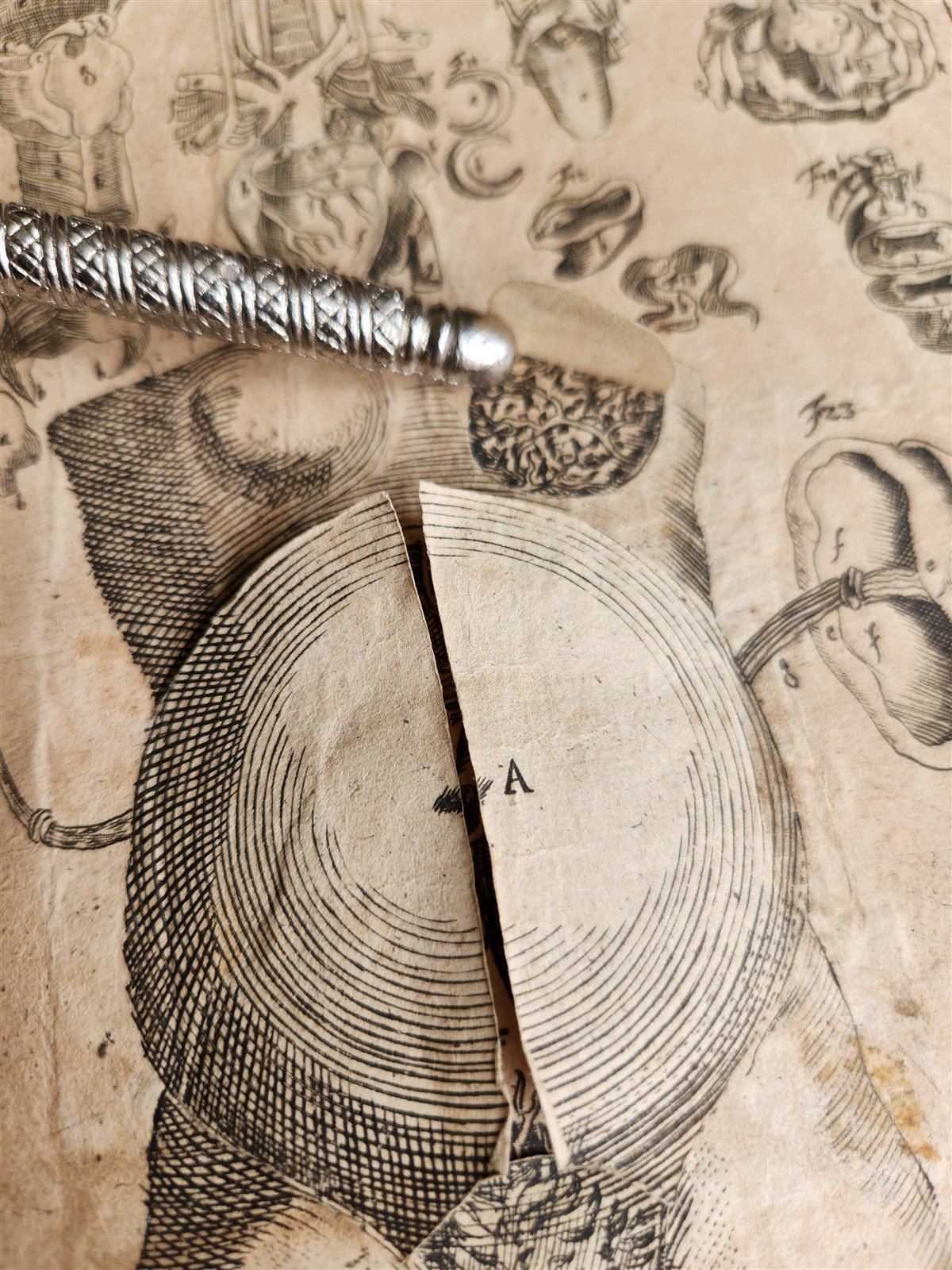 1720 ANATOMY ILLUSTRATED w/ MOVEABLE PARTS antique FOLIO