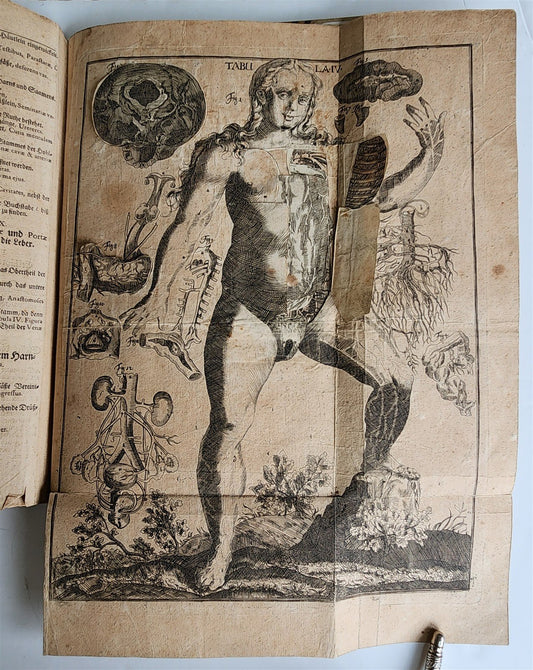 1720 ANATOMY ILLUSTRATED w/ MOVEABLE PARTS antique FOLIO