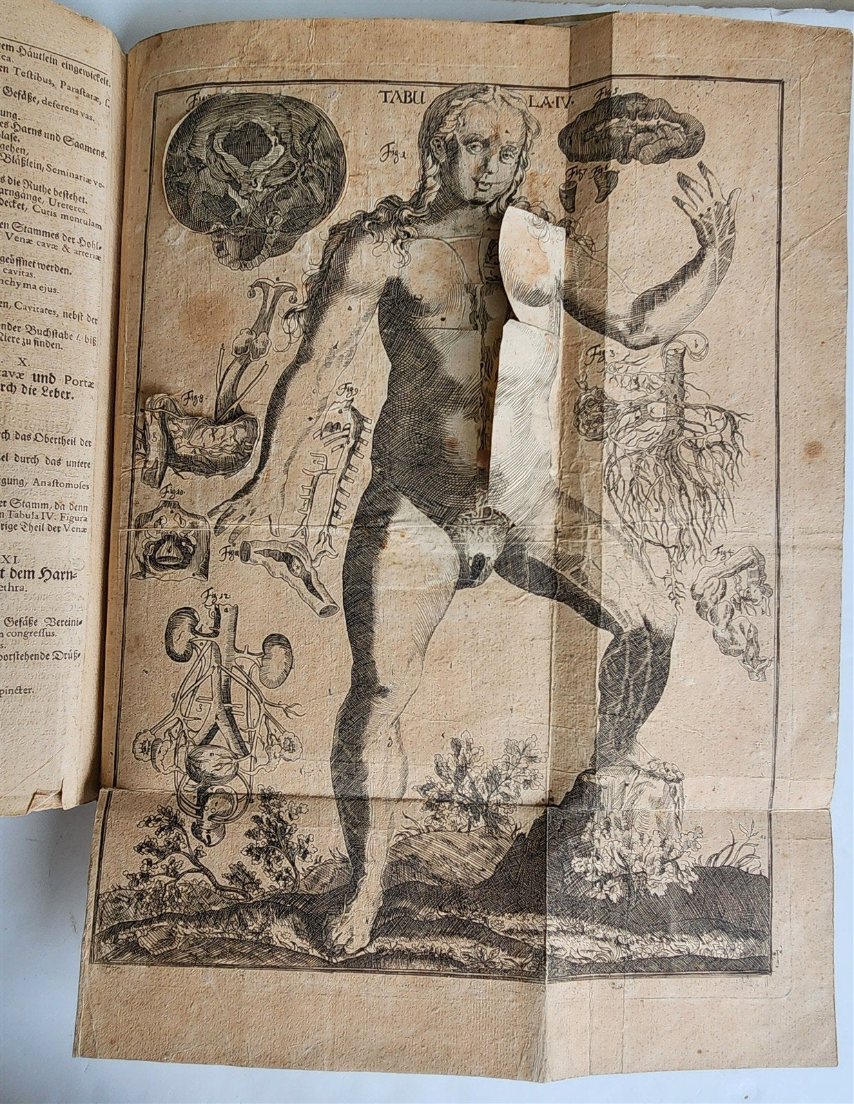 1720 ANATOMY ILLUSTRATED w/ MOVEABLE PARTS antique FOLIO