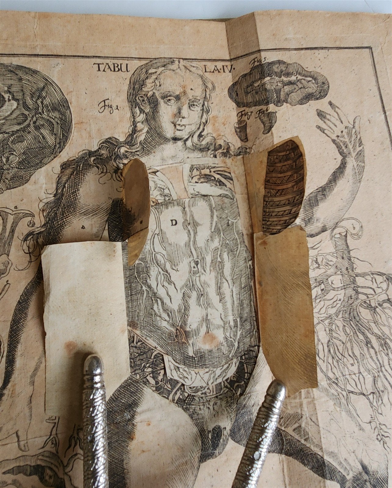 1720 ANATOMY ILLUSTRATED w/ MOVEABLE PARTS antique FOLIO