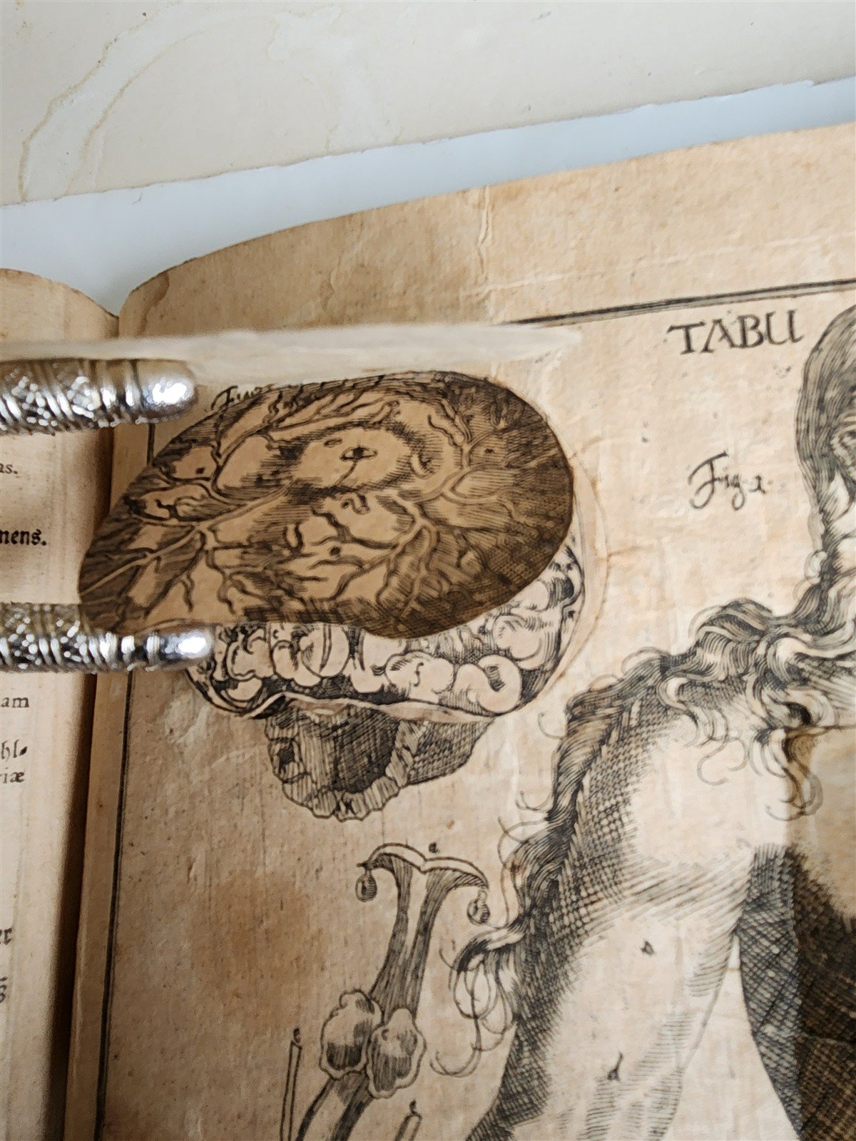 1720 ANATOMY ILLUSTRATED w/ MOVEABLE PARTS antique FOLIO