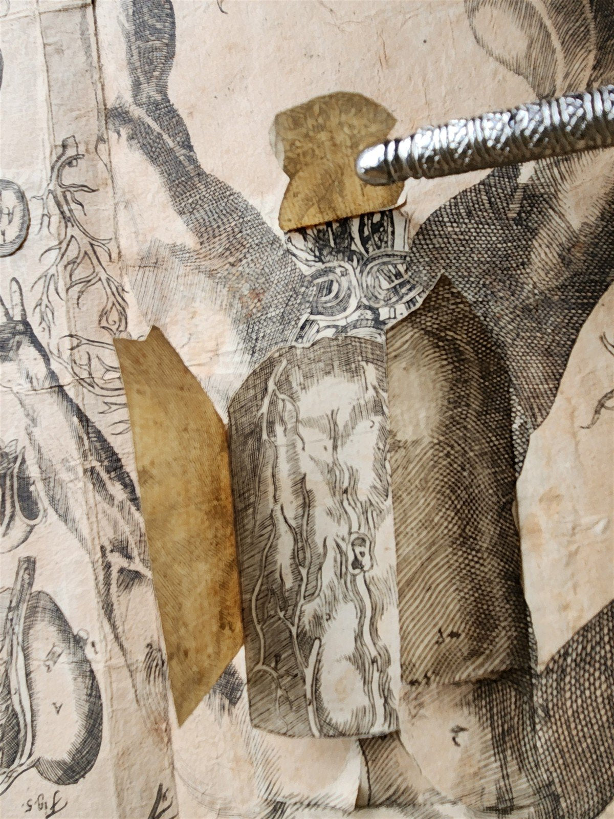 1720 ANATOMY ILLUSTRATED w/ MOVEABLE PARTS antique FOLIO