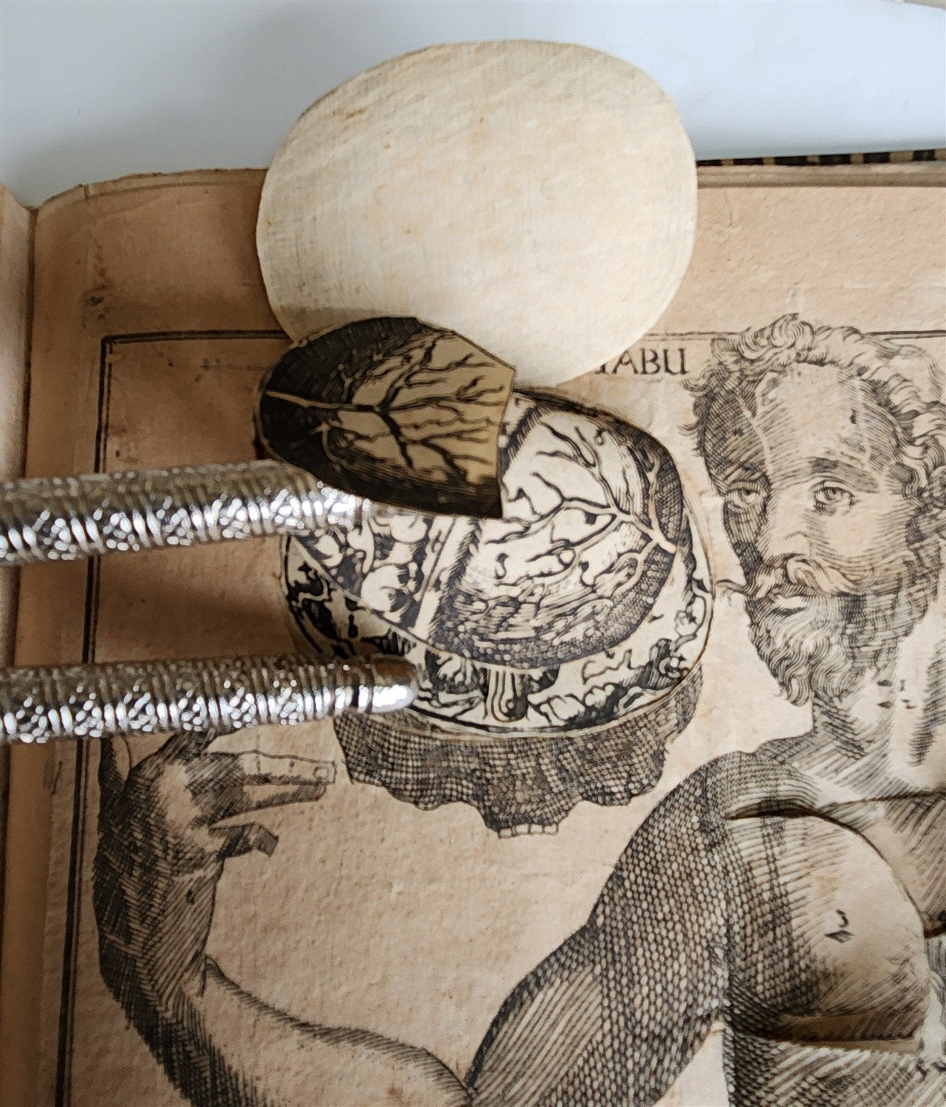 1720 ANATOMY ILLUSTRATED w/ MOVEABLE PARTS antique FOLIO