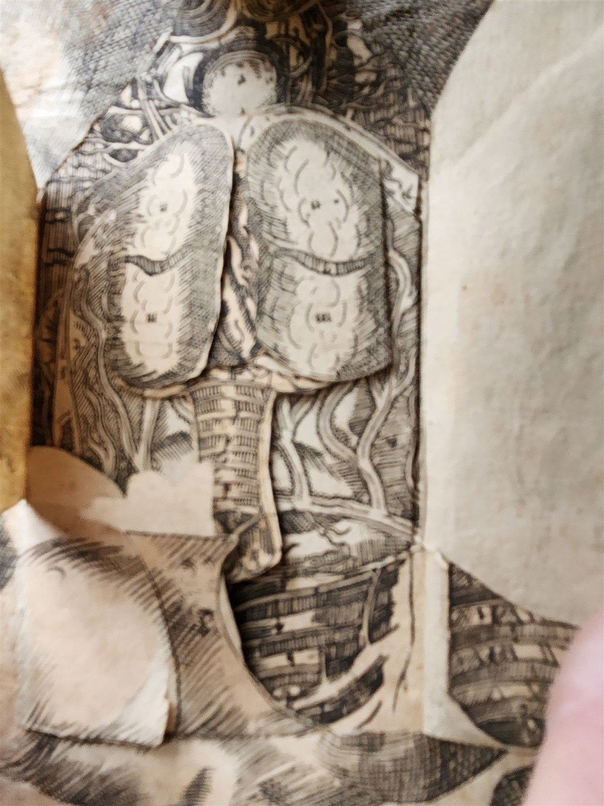 1720 ANATOMY ILLUSTRATED w/ MOVEABLE PARTS antique FOLIO