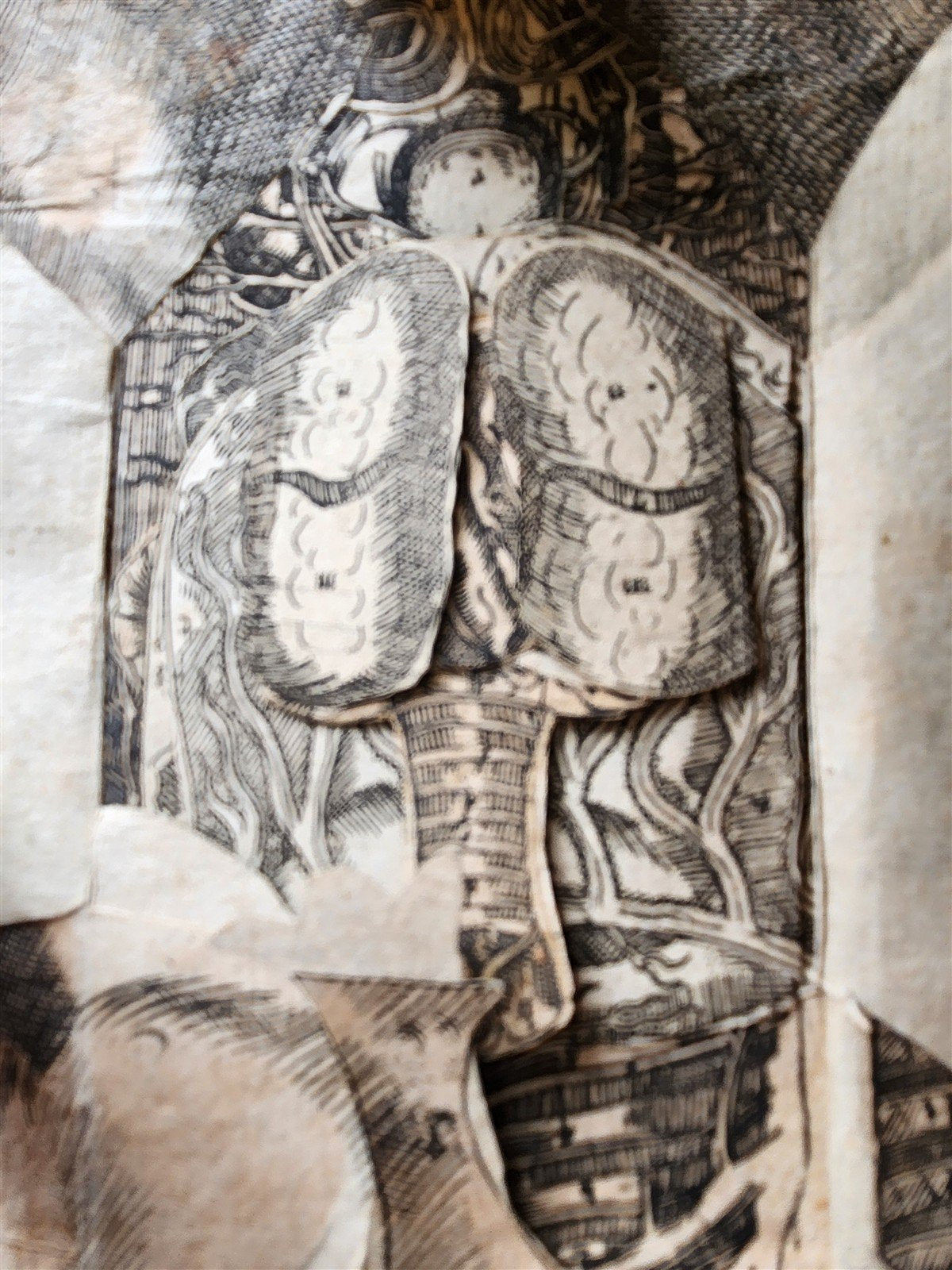 1720 ANATOMY ILLUSTRATED w/ MOVEABLE PARTS antique FOLIO