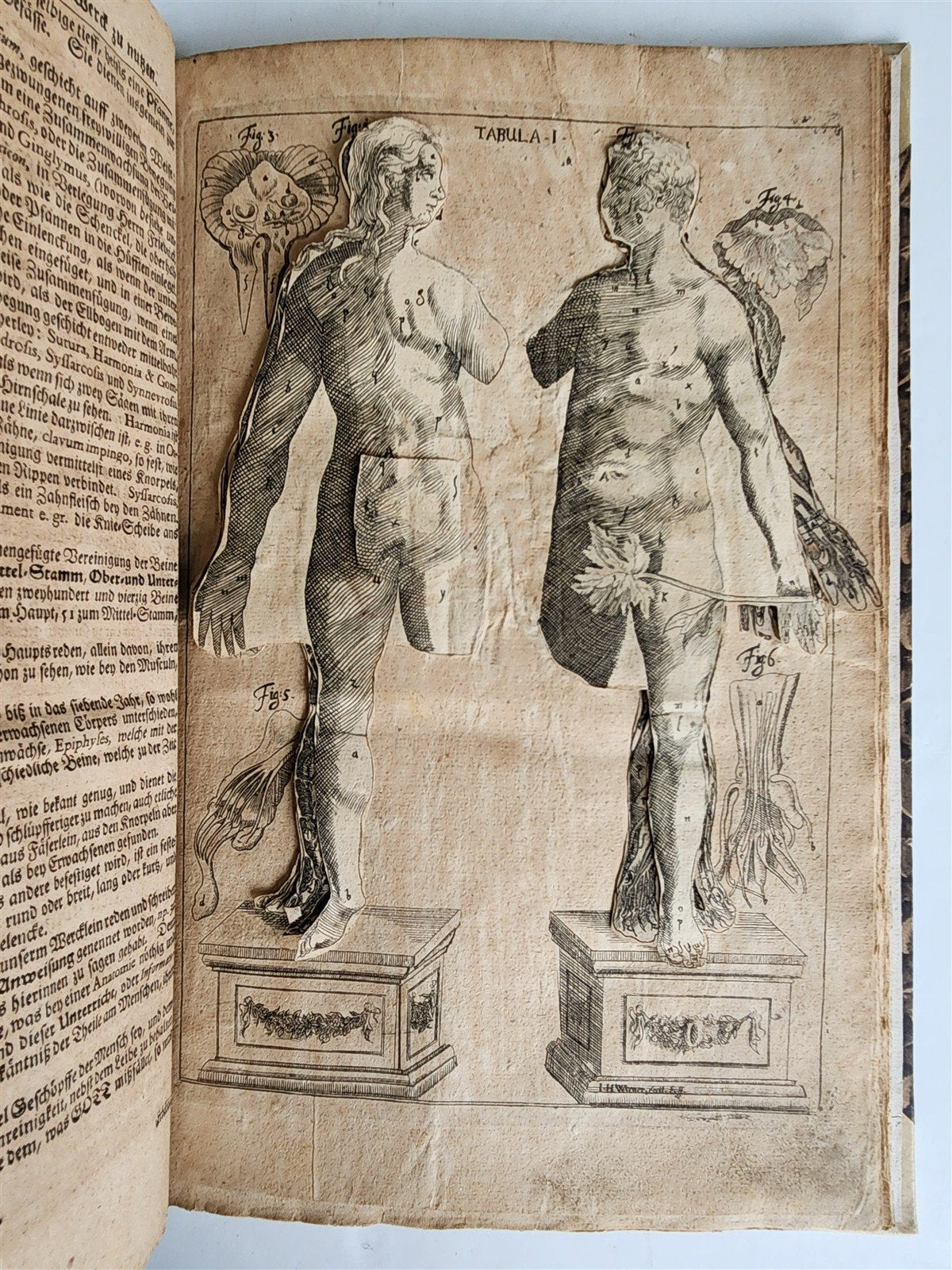 1720 ANATOMY ILLUSTRATED w/ MOVEABLE PARTS antique FOLIO