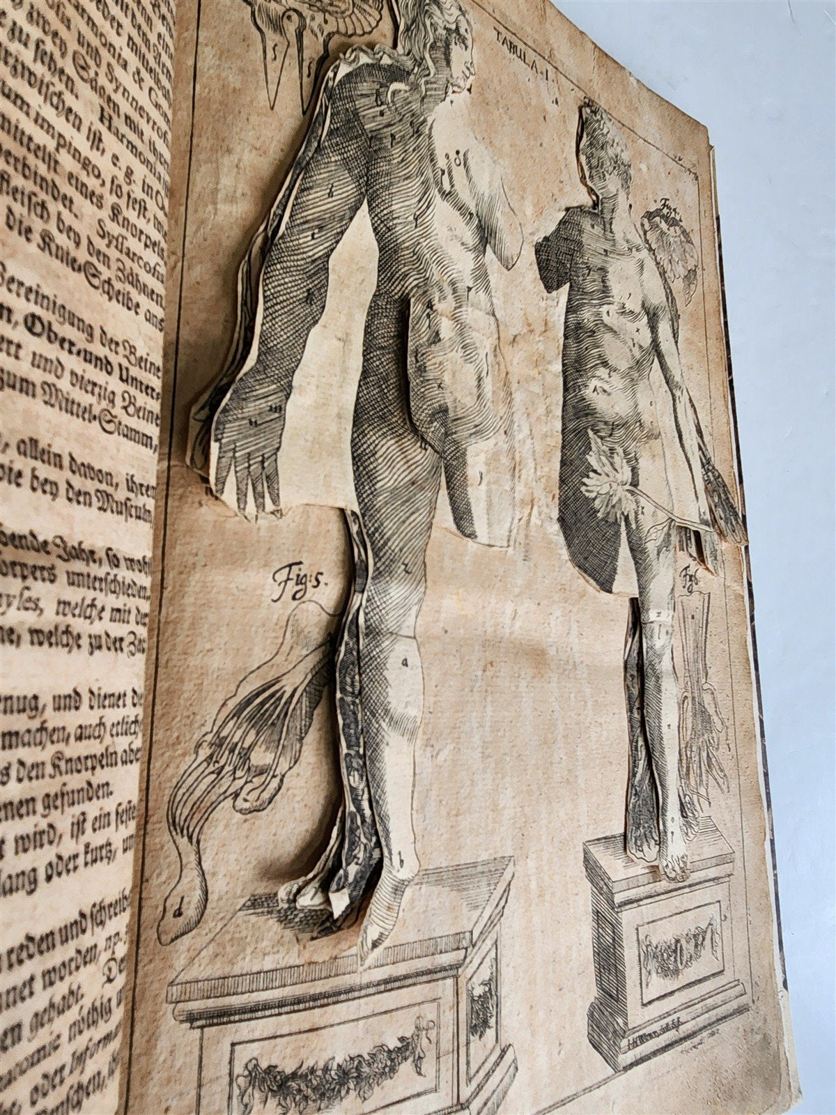 1720 ANATOMY ILLUSTRATED w/ MOVEABLE PARTS antique FOLIO