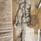 1720 ANATOMY ILLUSTRATED w/ MOVEABLE PARTS antique FOLIO