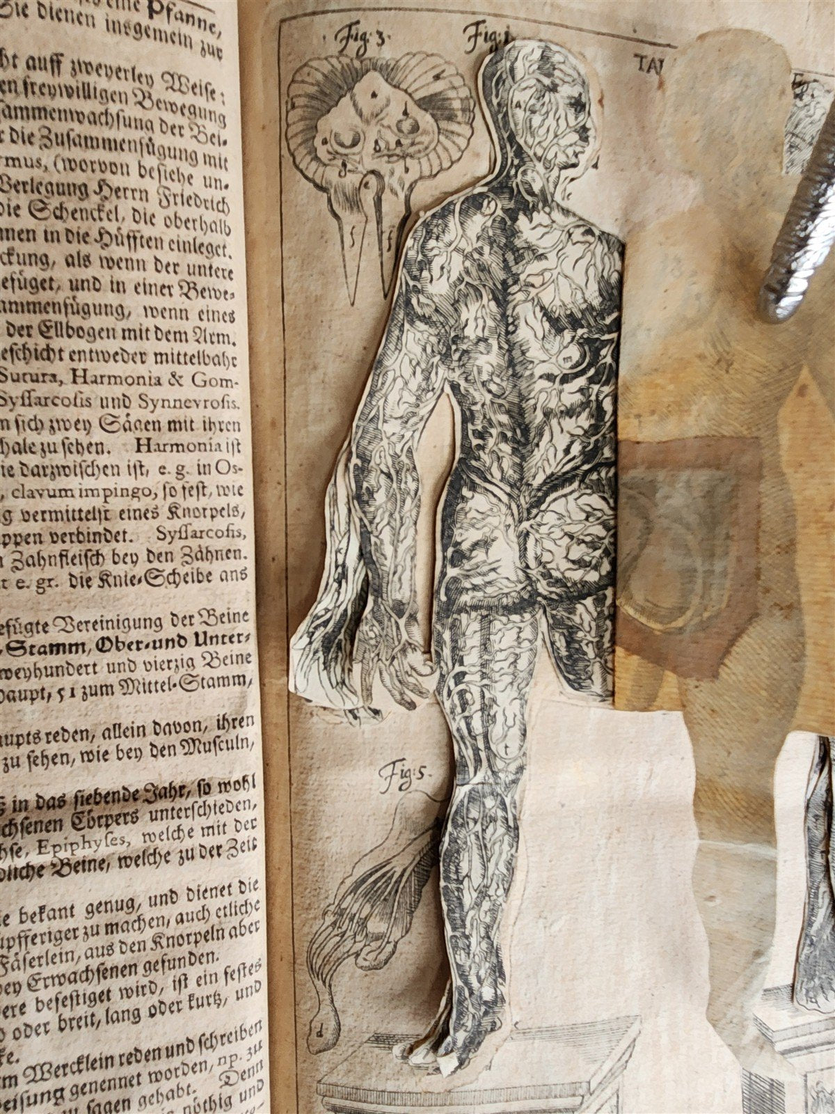 1720 ANATOMY ILLUSTRATED w/ MOVEABLE PARTS antique FOLIO