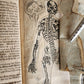 1720 ANATOMY ILLUSTRATED w/ MOVEABLE PARTS antique FOLIO