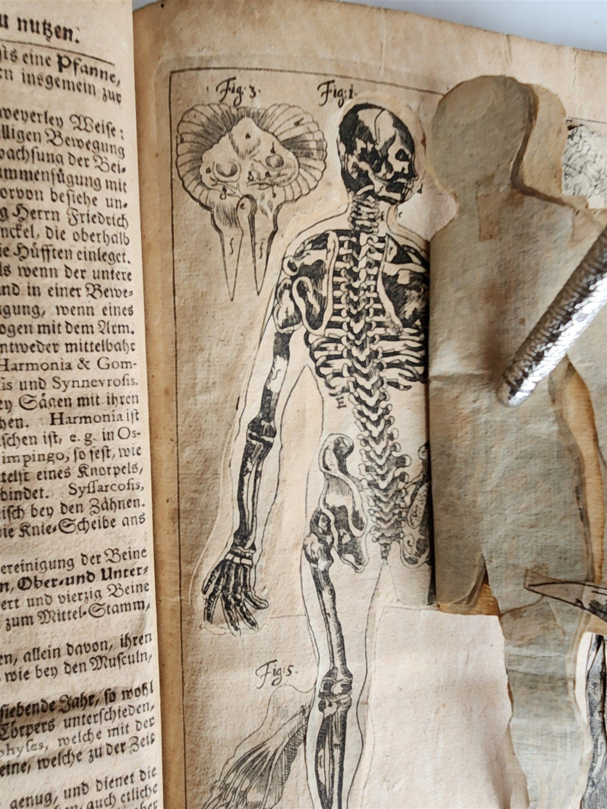 1720 ANATOMY ILLUSTRATED w/ MOVEABLE PARTS antique FOLIO