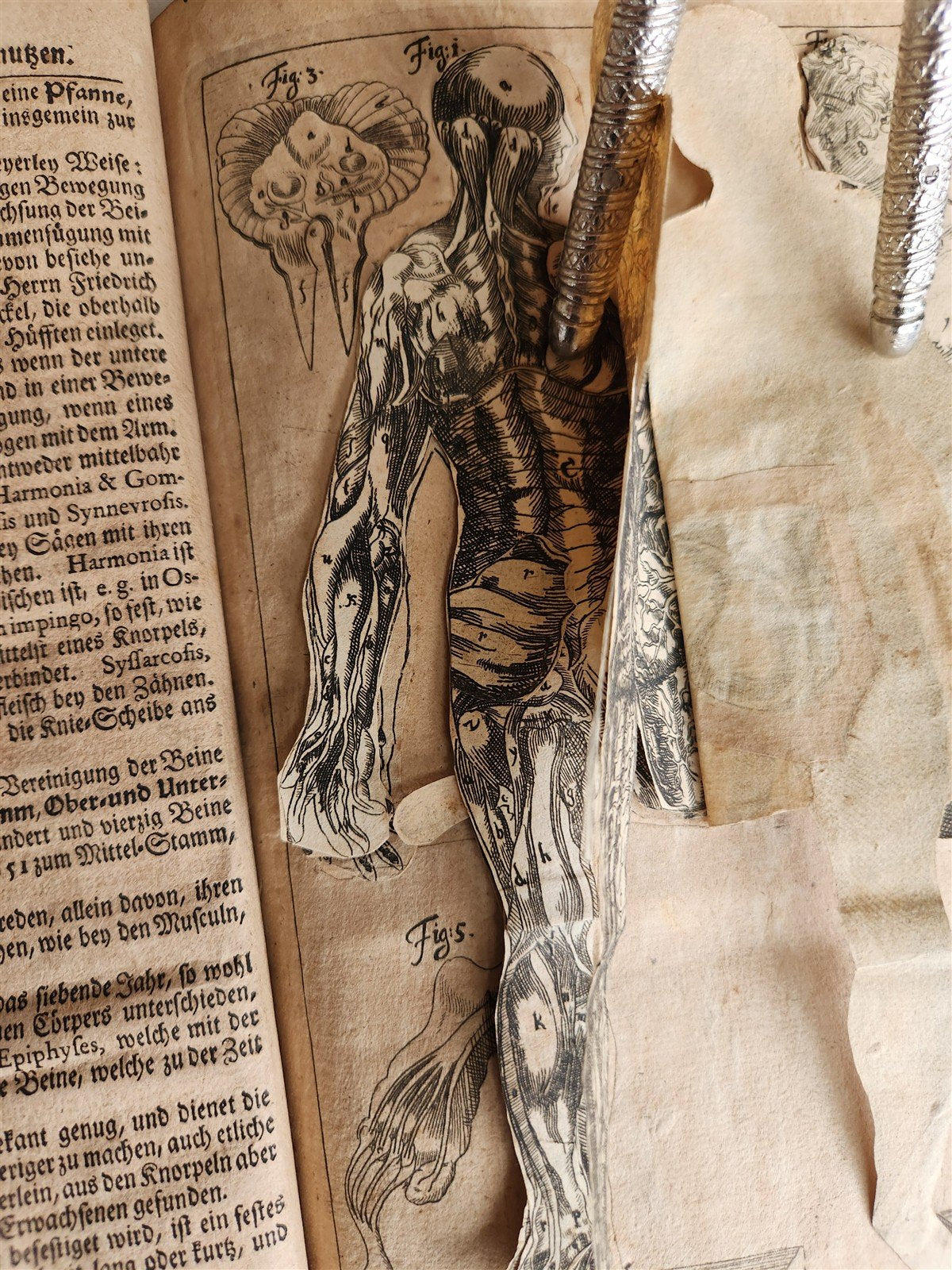 1720 ANATOMY ILLUSTRATED w/ MOVEABLE PARTS antique FOLIO