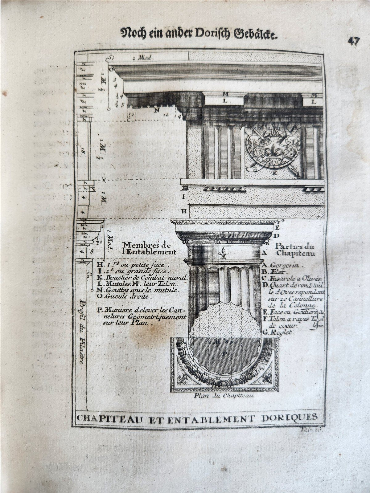 1747 ARCHITECTURE FULLY ILLUSTRATED by d'AVILER antique VIGNOLA MICHELANGELO