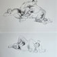 1982 L'Oeuvre Secrète EROTIC DRAWINGS by Albert Dubout