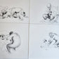 1982 L'Oeuvre Secrète EROTIC DRAWINGS by Albert Dubout