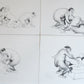 1982 L'Oeuvre Secrète EROTIC DRAWINGS by Albert Dubout