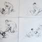 1982 L'Oeuvre Secrète EROTIC DRAWINGS by Albert Dubout