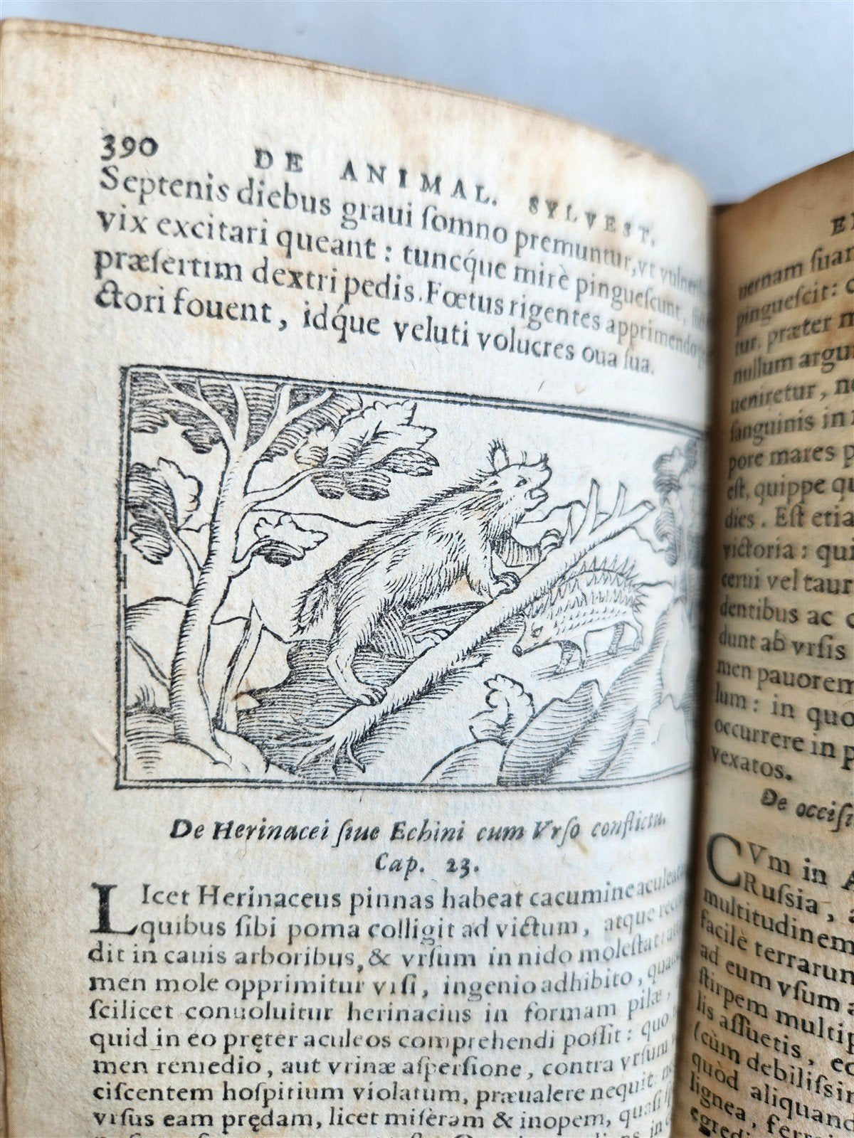 1557 DESCRIPTION of NORTHERN PEOPLE by O. MAGNUS antique ILLUSTRATED SCANDINAVIA