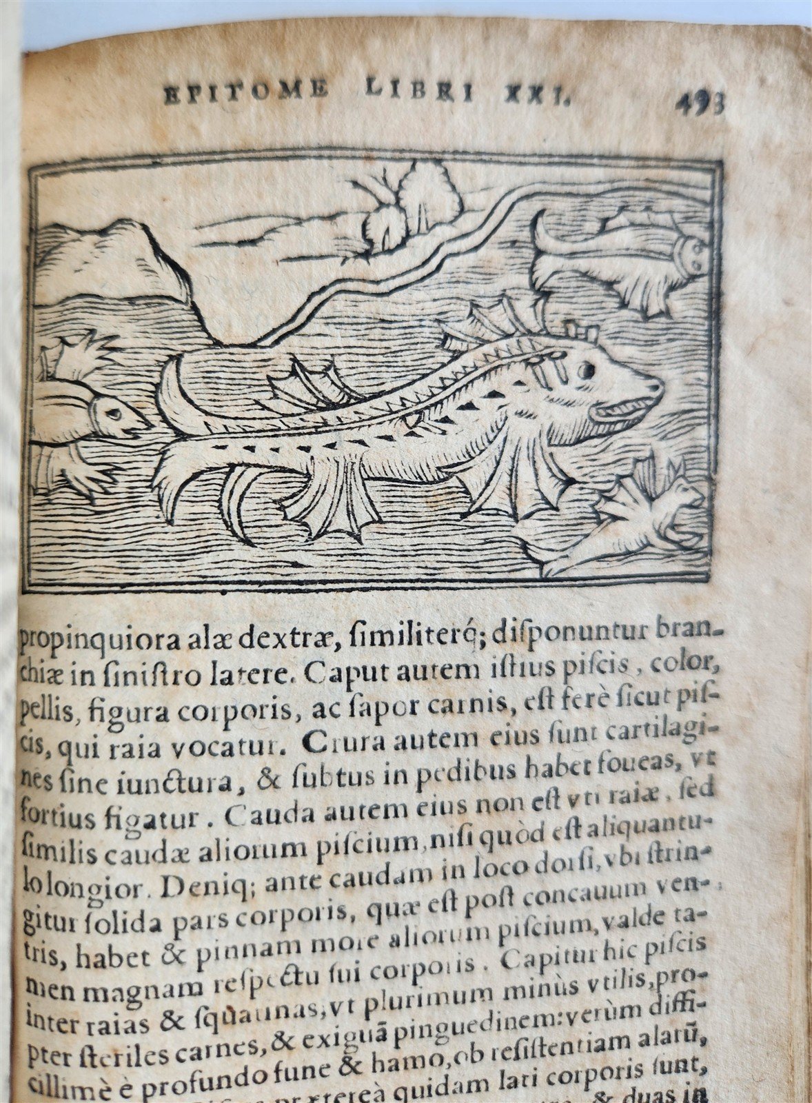 1557 DESCRIPTION of NORTHERN PEOPLE by O. MAGNUS antique ILLUSTRATED SCANDINAVIA