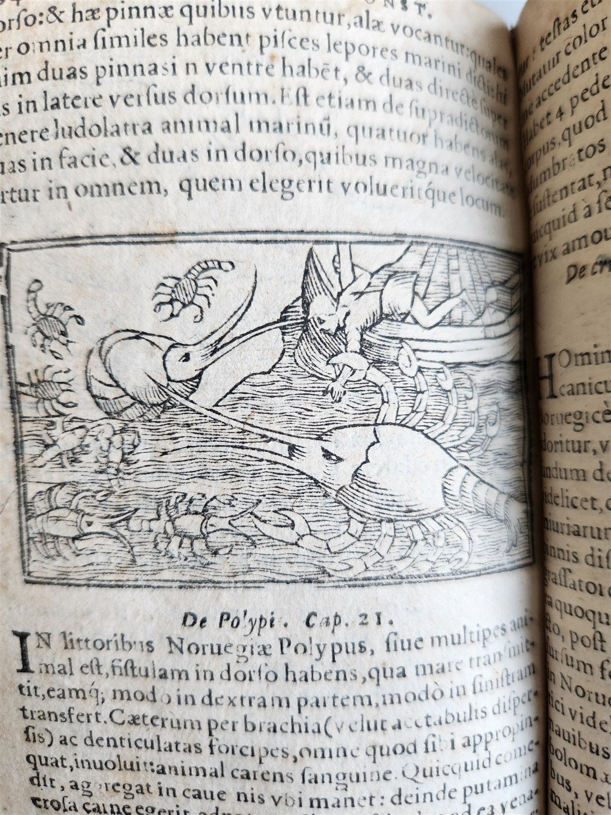 1557 DESCRIPTION of NORTHERN PEOPLE by O. MAGNUS antique ILLUSTRATED SCANDINAVIA