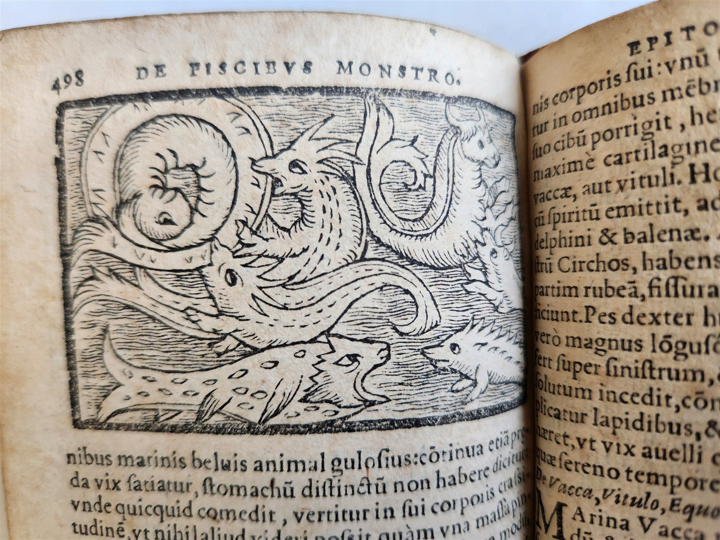 1557 DESCRIPTION of NORTHERN PEOPLE by O. MAGNUS antique ILLUSTRATED SCANDINAVIA