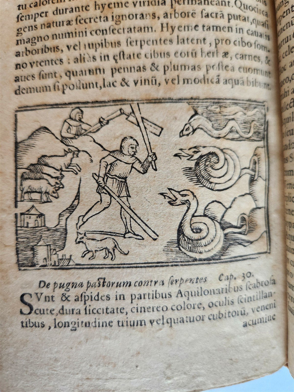 1557 DESCRIPTION of NORTHERN PEOPLE by O. MAGNUS antique ILLUSTRATED SCANDINAVIA