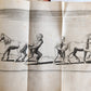 1731 ILLUSTRATED IN PRAISE of FOLLY by Erasmus of Rotterdam antique