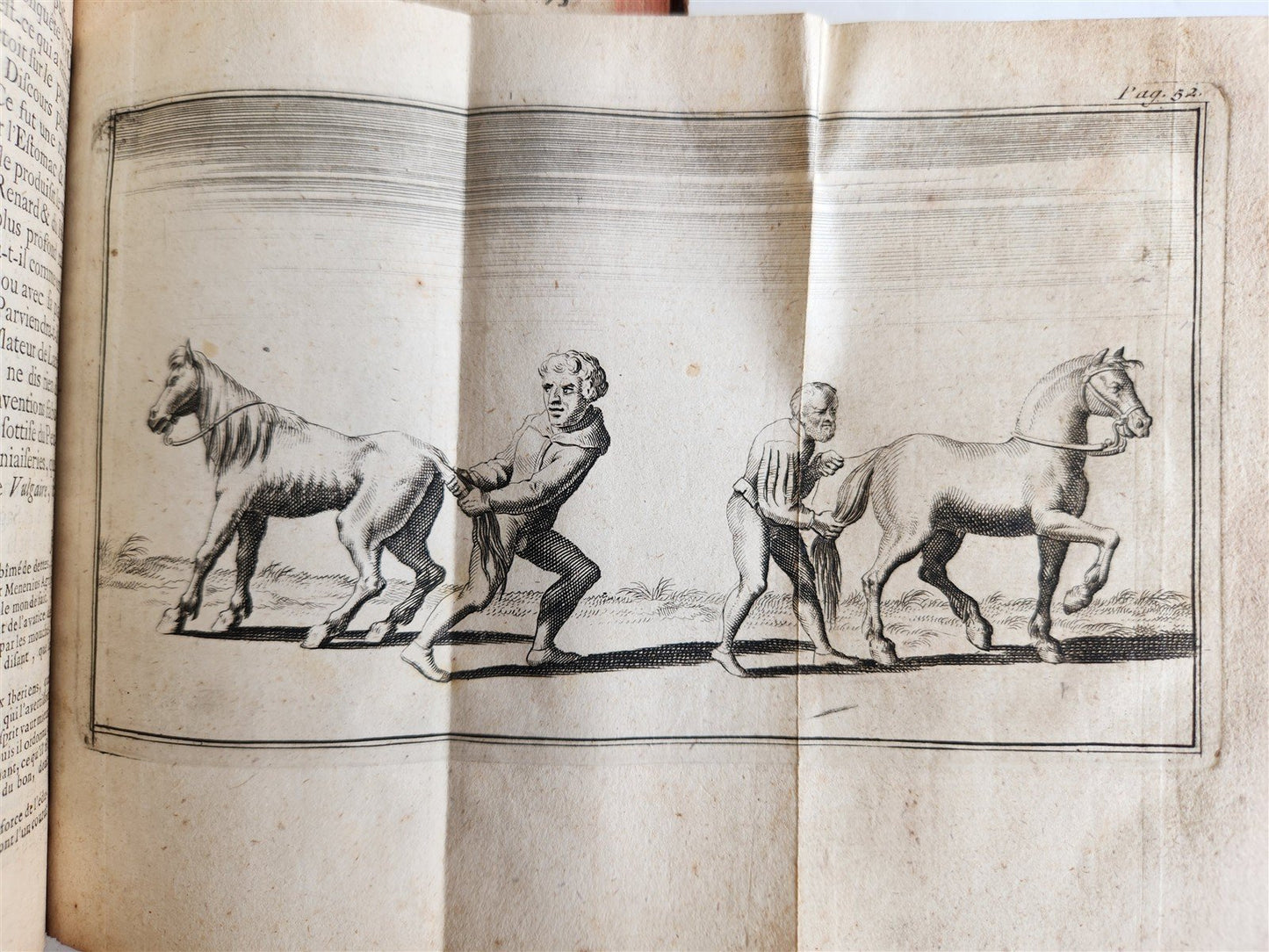 1731 ILLUSTRATED IN PRAISE of FOLLY by Erasmus of Rotterdam antique