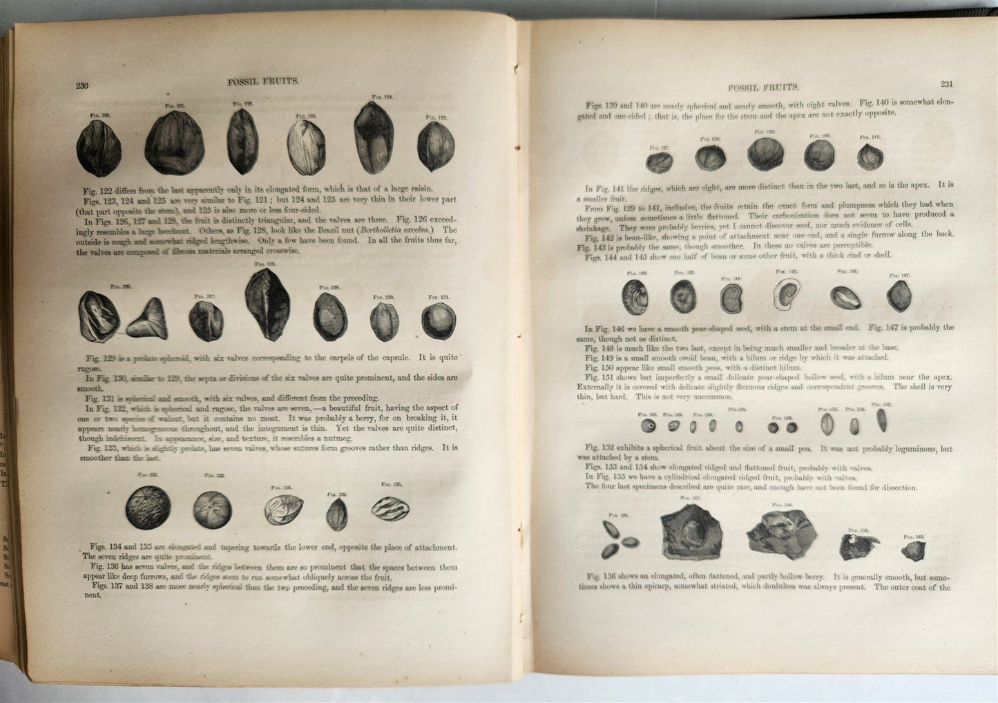 1861 Report on the Geology of Vermont 2 VOLUMES antique ILLUSTRATED Americana
