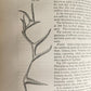 1861 Report on the Geology of Vermont 2 VOLUMES antique ILLUSTRATED Americana