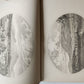1861 Report on the Geology of Vermont 2 VOLUMES antique ILLUSTRATED Americana