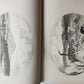 1861 Report on the Geology of Vermont 2 VOLUMES antique ILLUSTRATED Americana