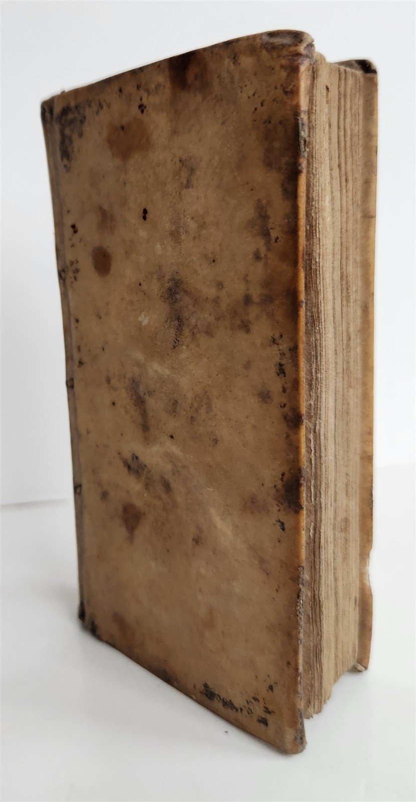 1640 JEREMIAS DREXEL Noe architectus arcæ in diluvio navarchus antique VELLUM
