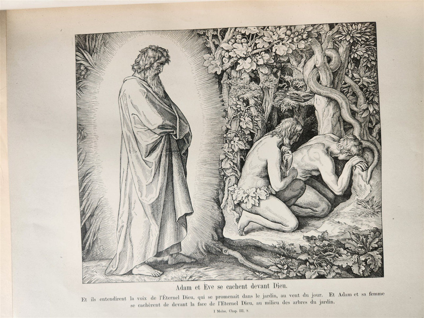 1880s BIBLE in FRENCH antique ILLUSTRATED FOLIO La Sainte Bible en Images