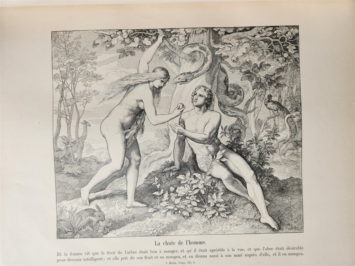 1880s BIBLE in FRENCH antique ILLUSTRATED FOLIO La Sainte Bible en Images