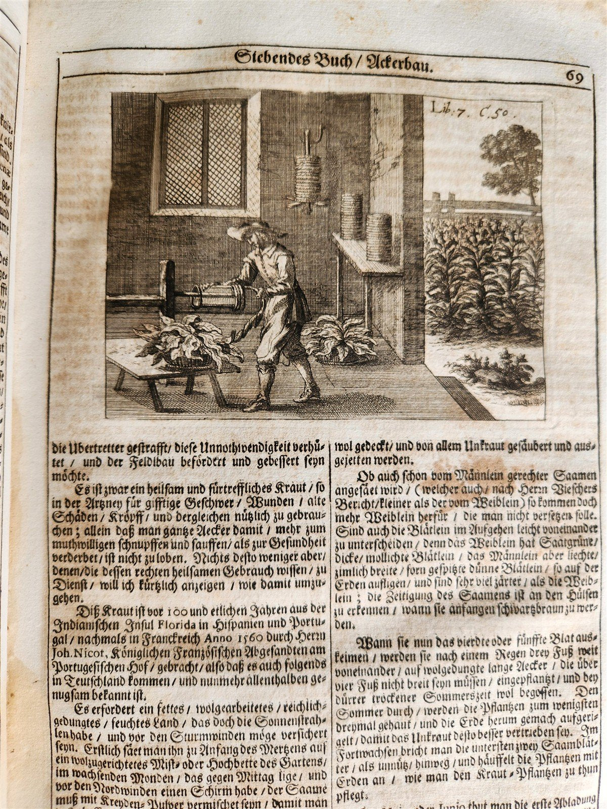 1682 Georgica curiosa ILLUSTRATED noble country life antique PIGSKIN BOUND FOLIO