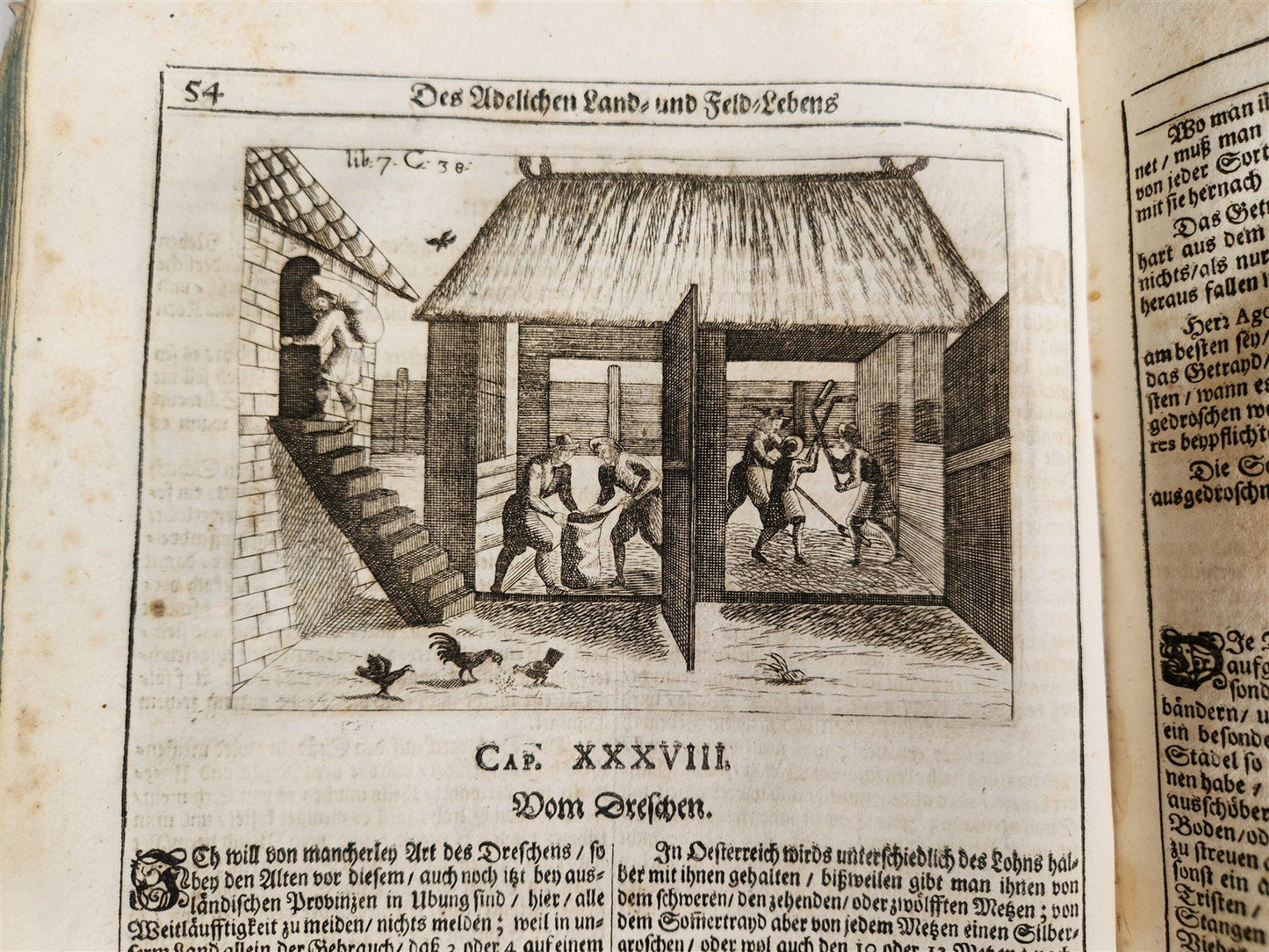 1682 Georgica curiosa ILLUSTRATED noble country life antique PIGSKIN BOUND FOLIO