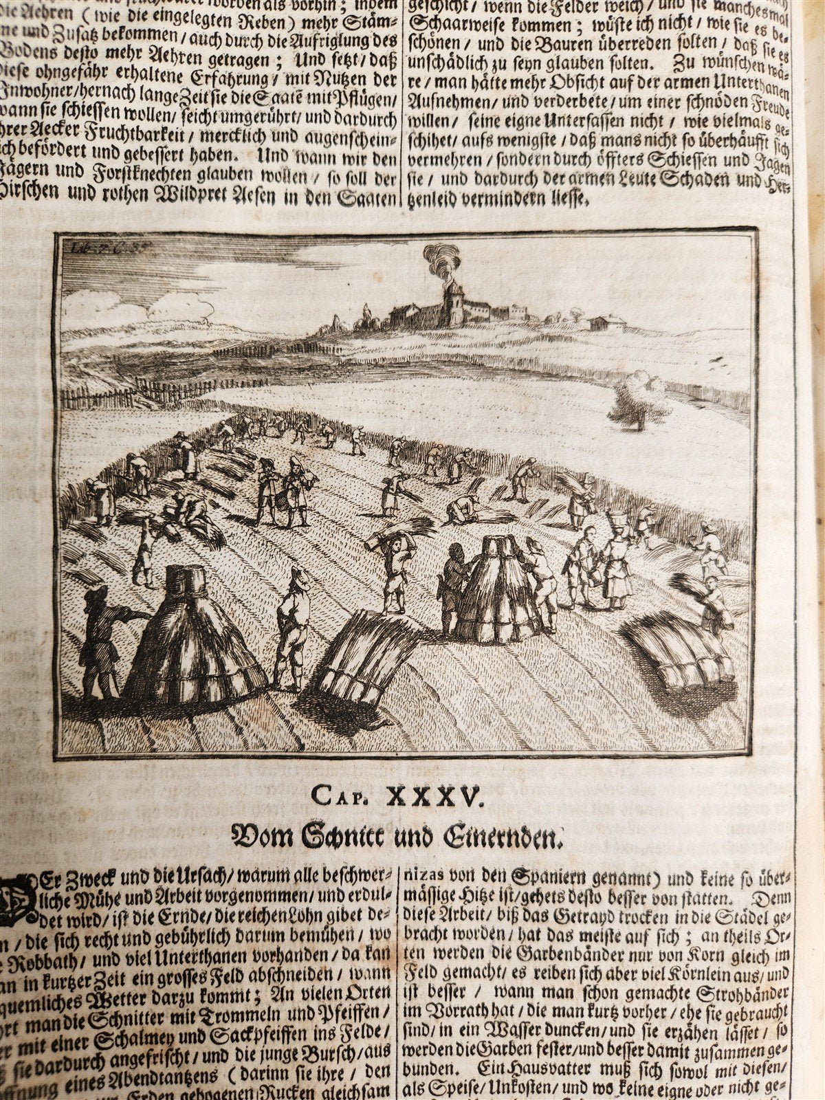 1682 Georgica curiosa ILLUSTRATED noble country life antique PIGSKIN BOUND FOLIO