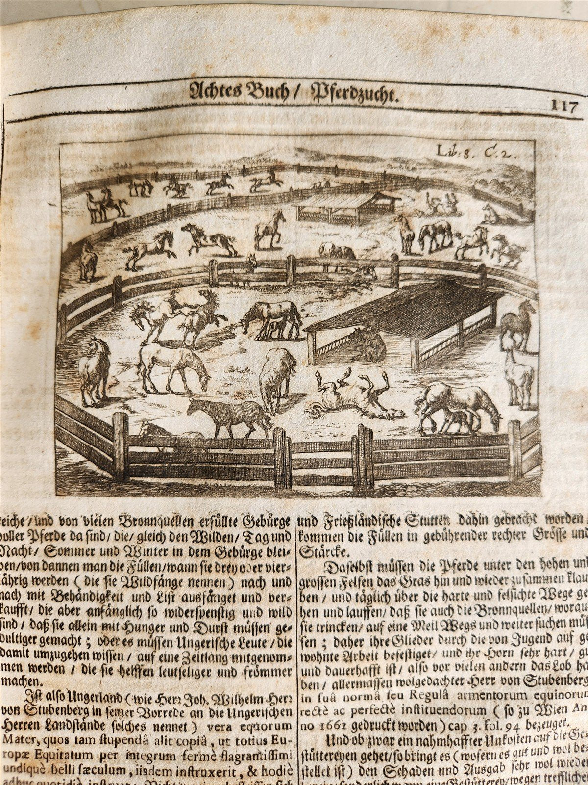 1682 Georgica curiosa ILLUSTRATED noble country life antique PIGSKIN BOUND FOLIO
