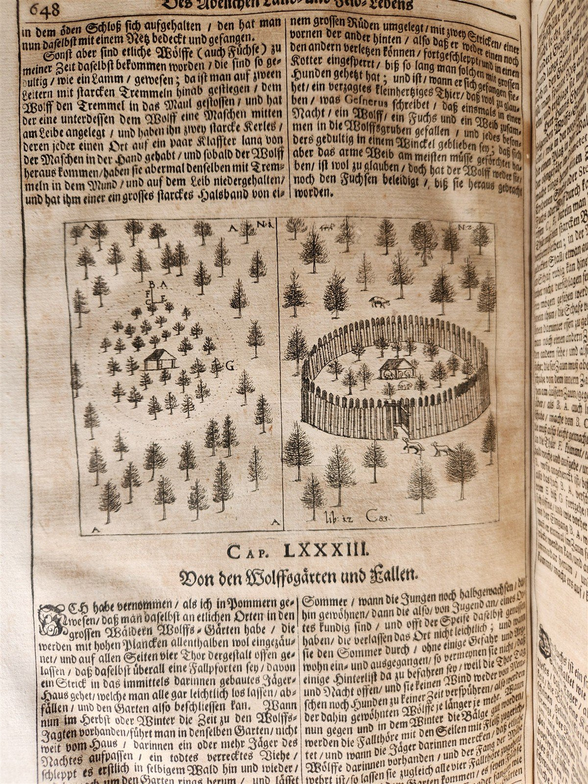 1682 Georgica curiosa ILLUSTRATED noble country life antique PIGSKIN BOUND FOLIO