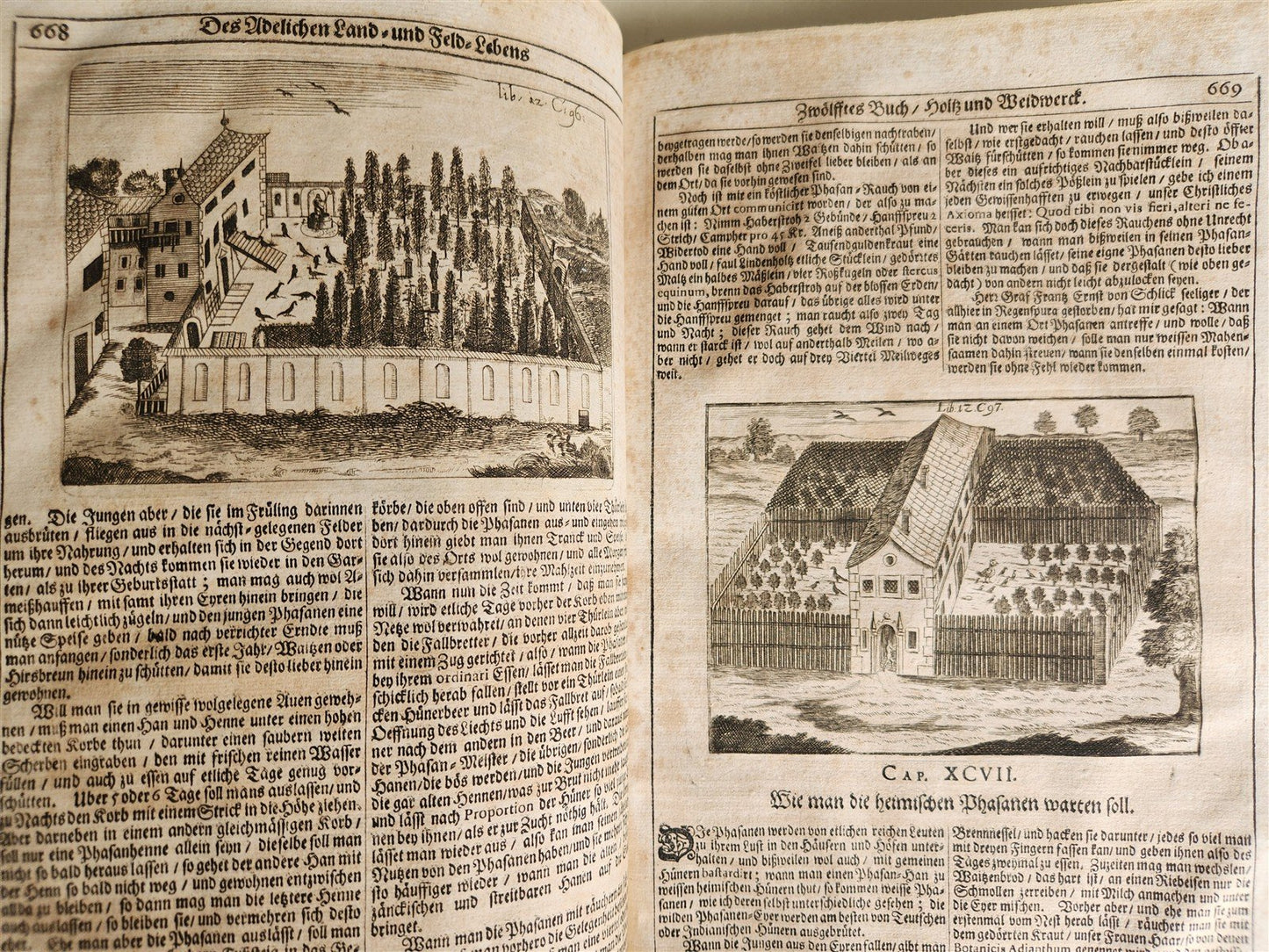 1682 Georgica curiosa ILLUSTRATED noble country life antique PIGSKIN BOUND FOLIO