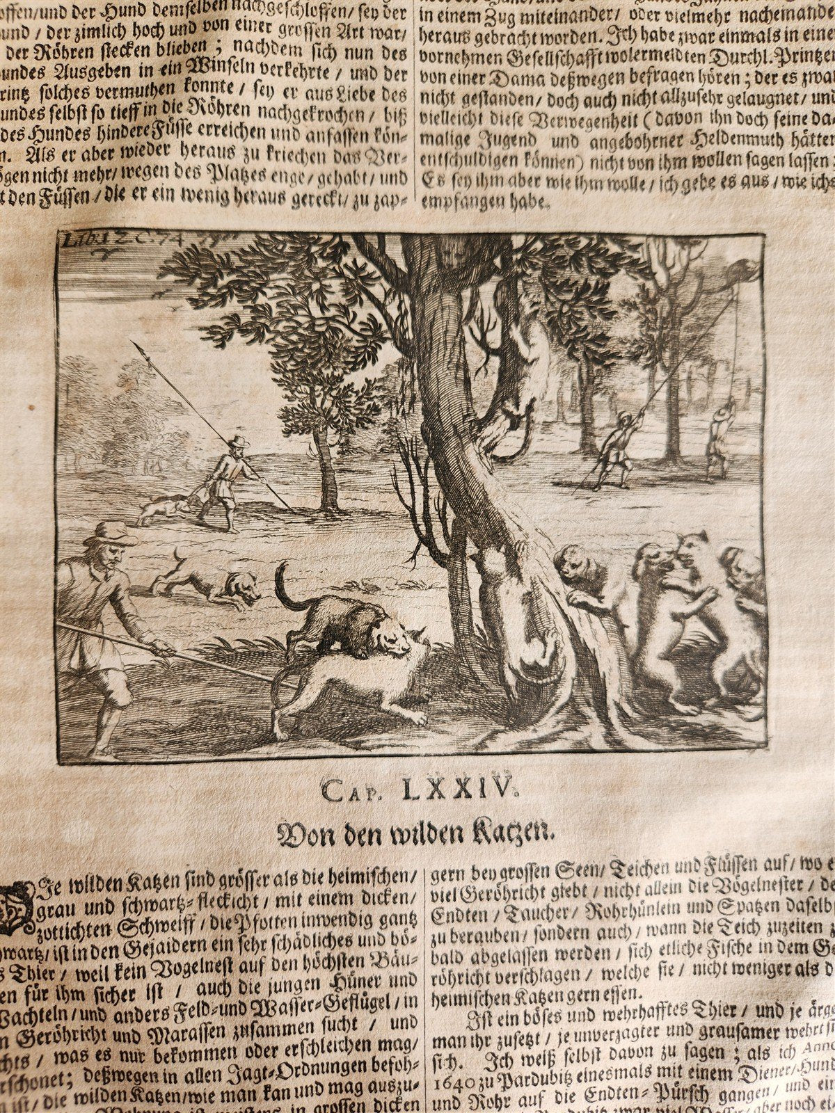 1682 Georgica curiosa ILLUSTRATED noble country life antique PIGSKIN BOUND FOLIO