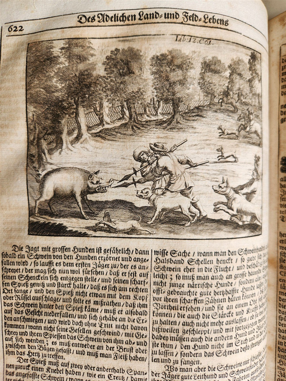 1682 Georgica curiosa ILLUSTRATED noble country life antique PIGSKIN BOUND FOLIO