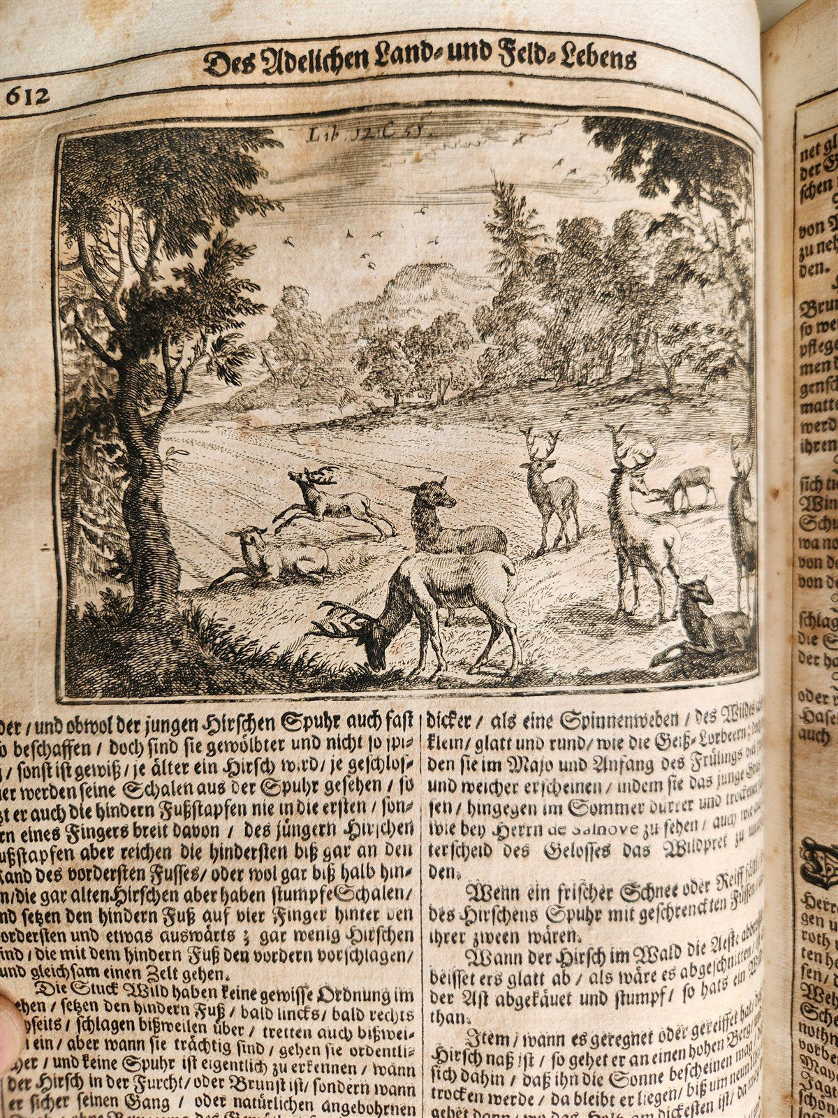 1682 Georgica curiosa ILLUSTRATED noble country life antique PIGSKIN BOUND FOLIO