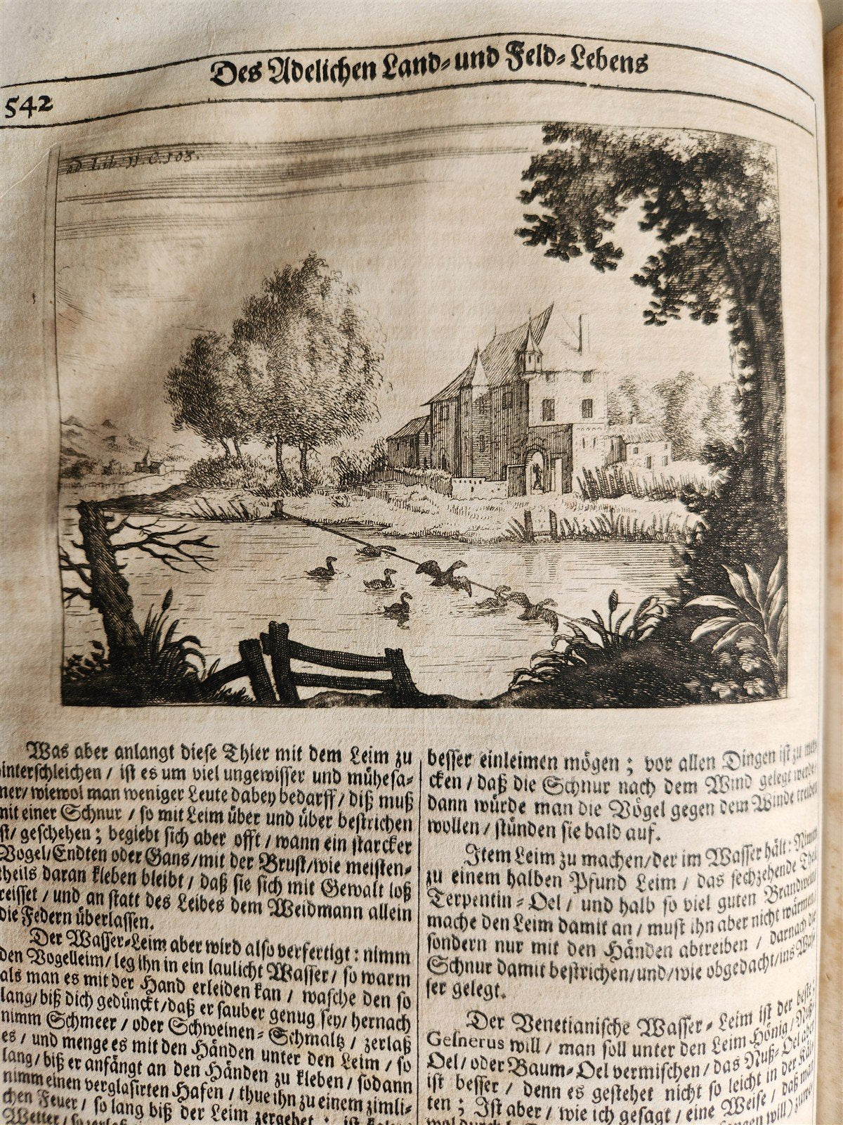 1682 Georgica curiosa ILLUSTRATED noble country life antique PIGSKIN BOUND FOLIO
