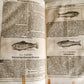 1682 Georgica curiosa ILLUSTRATED noble country life antique PIGSKIN BOUND FOLIO