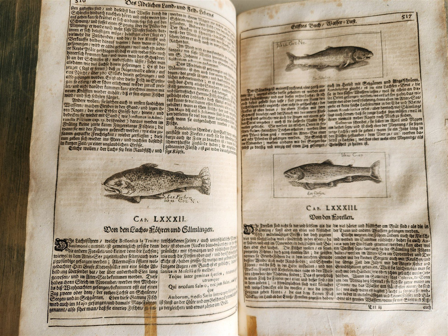 1682 Georgica curiosa ILLUSTRATED noble country life antique PIGSKIN BOUND FOLIO